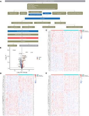 Construction of a molecular inflammatory predictive model with histone modification-related genes and identification of CAMK2D as a potential response signature to infliximab in ulcerative colitis